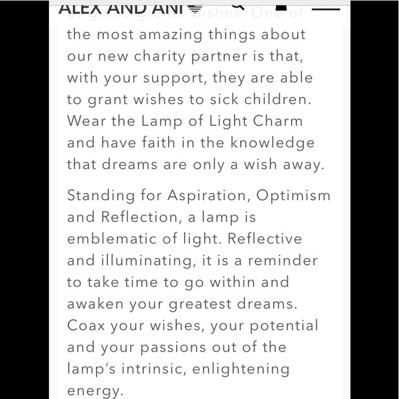 Alex and Ani Silver Lamp of Light Bangle - Picture 8 of 8